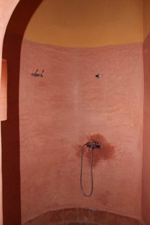 No tiles in the shower, just the wall